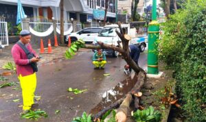 Hujan deras disertai angin kencang melanda Kota Cimahi menyebabkan Pohon Tumbang dan dahan patah di sedikitnya empat titik jalan protokol.