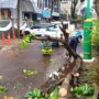 Hujan deras disertai angin kencang melanda Kota Cimahi menyebabkan Pohon Tumbang dan dahan patah di sedikitnya empat titik jalan protokol.