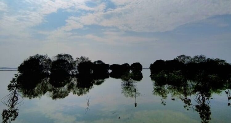 Negara jangan abai, Revitalisasi Tambak Pantura harus segera dieksekusi demi kesejahteraan nelayan dan memulihkan produktivitas